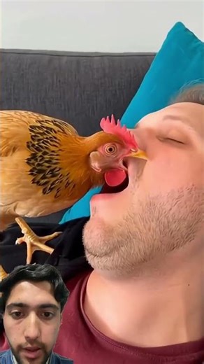 Men eating whole hand look at this #StageEating #Chicken #Experiment #Memes #Comedy #ViralVideo wow