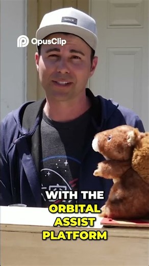 Ninja Warrior Quad Steps & Squirrelapult Challenge!#markrober#Shorts#FunnyAnimals #ObstacleCourse