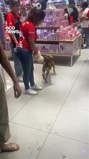 💪 Lo quiero y lo tengo