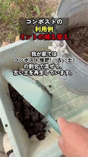 コンポストの使い方｜ミントの植え替えで古い土を再生