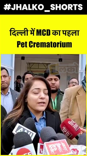 32K views · 217 reactions | Nice initiative | Indie Strays Foundation | Facebook