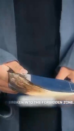 2.2K views · 39 reactions | Real Life, Funny and Emotional (About The...