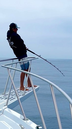 44K views · 563 reactions | The most ultimate sporting way to catch a...