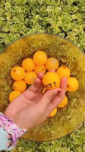 📣 CODELife Carnival 2025 is coming! Come and join us to learn more about organ donation and transplants in Malaysia! #NKFMY #WorldTransplantDay #KidneyCare #CodeLifeCarnival2025 #DPulzeCyberjaya #JomRun #savethedate | NKF Malaysia