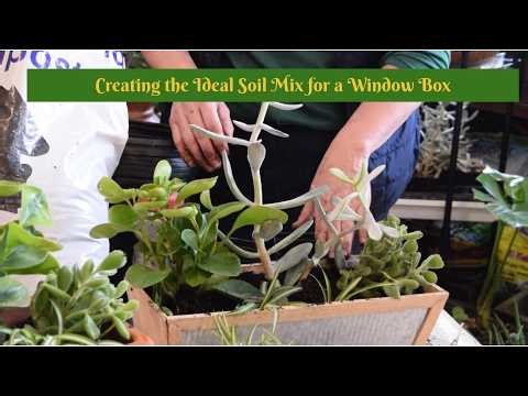 Creating the Ideal Soil Mix for a Window Box
