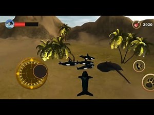 Let's play Orca Survival Simulator!- Cintron Productions