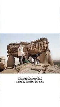 These homes in Mali blend perfectly into their surroundings due to using materials in direct