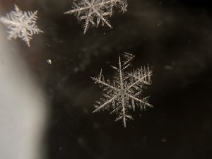 'The Birth of a Snowflake', A Short Video Celebrating the Intricacies of Snowflake Formation