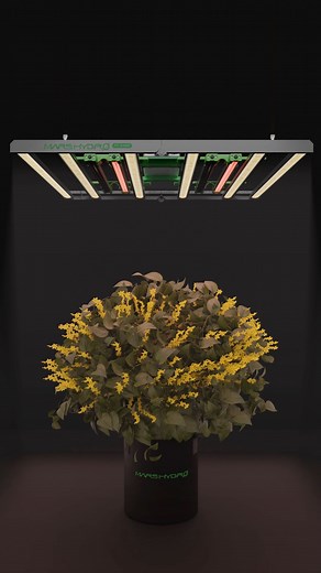 Supplemental Lighting in a Grow Room: How UV & IR work. 💡 | Mars Hydro LED