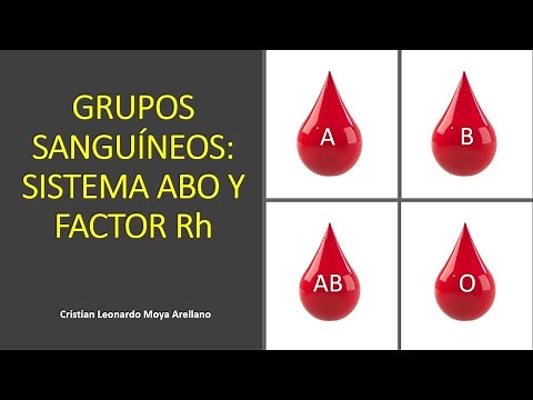 🔴 GRUPOS SANGUÍNEOS: SISTEMA ABO Y FACTOR RH