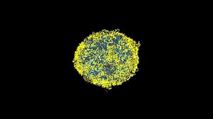 Structure of a mouse embryonic stem cell genome | Ars Technica