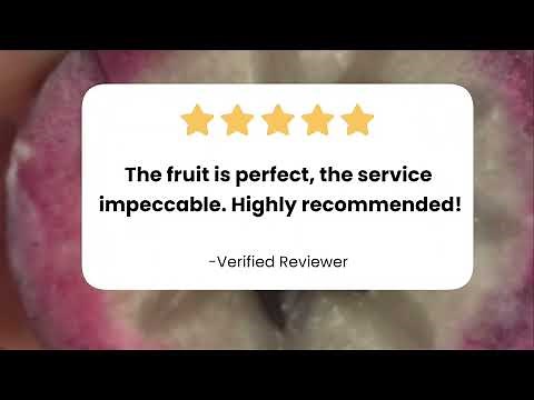 Tropical Fruit Box - The Best Place To Order Fresh Tropical & Exotic Fruits Online