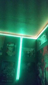 Watch Led lights on Amazon Live