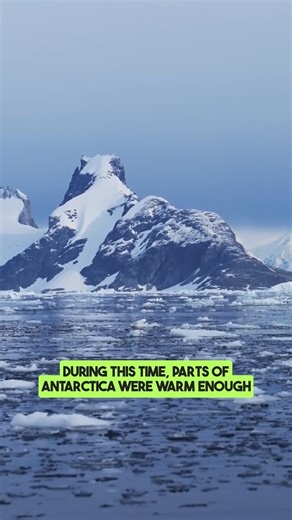 115K views · 5.2K reactions | https://electroverse.substack.com/ https://electroverse.info/ | Electroverse | Facebook