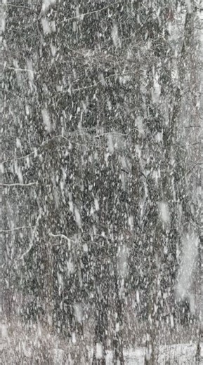 212K views · 959 reactions | Snow maps show five areas could be hit as Arctic weather sweeps in | The Mirror | Facebook