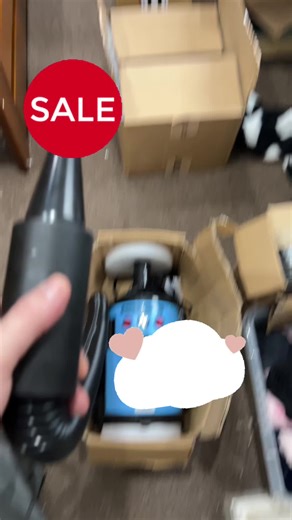 Powerful Air Blower for Pet Owners and Car Valeting
