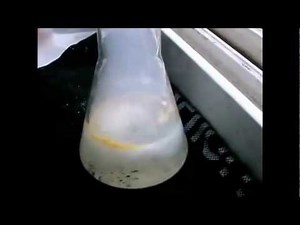 Strontium Metal React with Hydrochloric Acid - Ming Ling Chemical