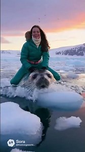 Woman Rides Whale in Arctic Waters | Magical Moment in the Wild