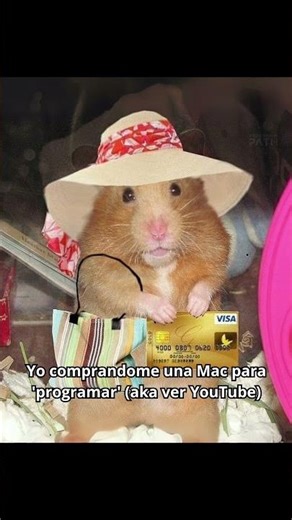 #MemesDeProgramadores #PythonMood #ProgrammPath #HumorTech #VidaDev #python