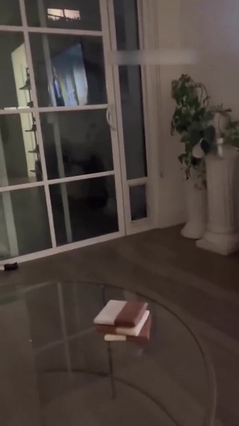 Amazing Puppy Breeds Bringing Joyful Moments To Life