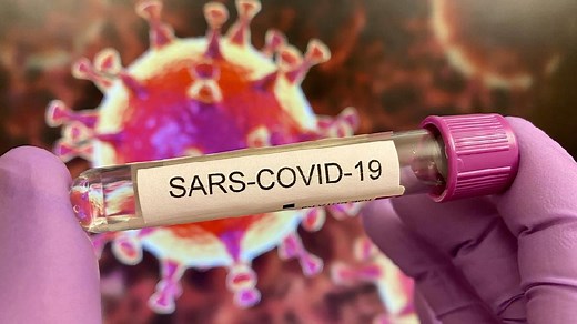Struktur Virus Corona: Cara Hidup, Gejala Terinfeksi, Klasifikasi
