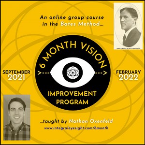 6 Month Vision Improvement Program - Integral Eyesight Improvement