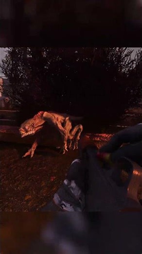 S.T.A.L.K.E.R. GAMMA #stalkeranomaly #stalkergamma #stalker2