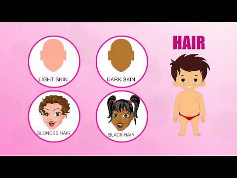 Hair | Human Body Parts | Pre School | Animated Videos For Kids