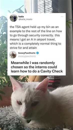 TSA Agent Uses My Luggage as Security Training Example