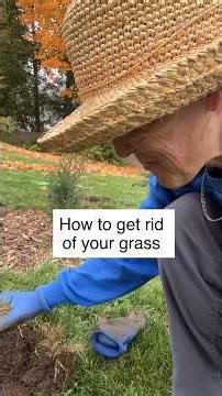 How To Kill Grass (When You Are Trying 🤣😅)
