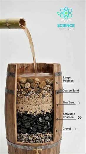 How a Natural Water Filter REALLY Works! #WaterFilter #ScienceFact #SurvivalSkills #CleanWater