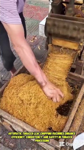 Automated High Speed Tobacco Leaf Cutting