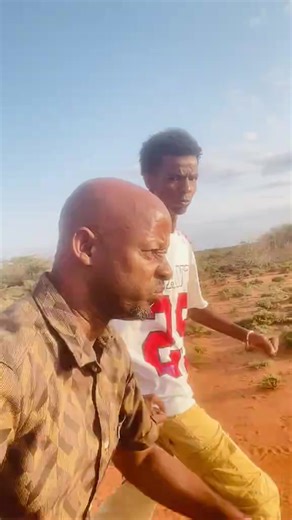 Exploring BIC Borether with CapCut Velocity