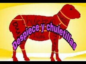 Despiece de cordero preparado para asar y chuletillas / TUTORIAL