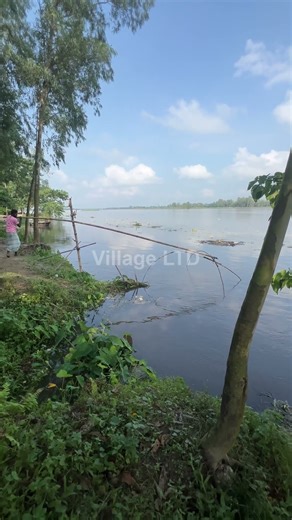 🎣 Village Ltd | Small River Hand Fishing | Traditional Catching Without Nets 2025 🌊✋🐟