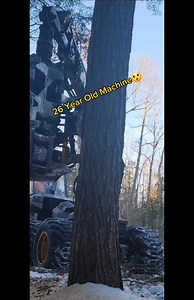Old School Logging Machine 🤙🌲 #forest #technology #reliable #Logging | Logger Mack