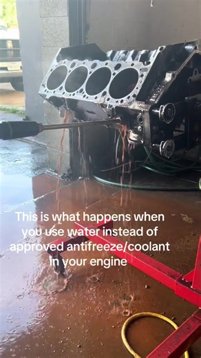 Mr mobile mechanic (@ivi_1505)’s video of swimming in stagnant water