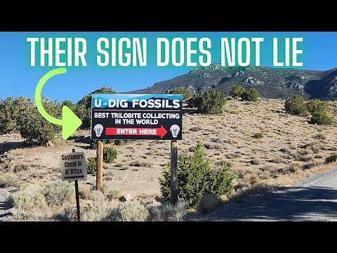 My 4th Trip to U-Dig Fossils – And I Still Can’t Get Enough!