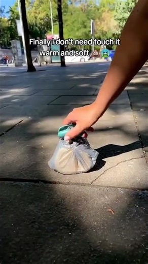 Dog’s Poop Cleaner Demo | Premium Cleaning Results #short