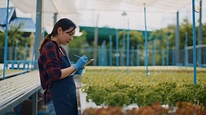 10 Jobs That Require Little Experience but Pay Over $50 per Hour