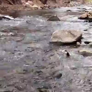 26K views · 640 reactions | 15 second finals study break courtesy of Boulder Creek. | University of Colorado Boulder | Facebook