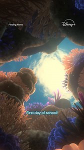 Good luck to you and yours for the first day of school! Stream Finding Nemo on Disney . | Disney