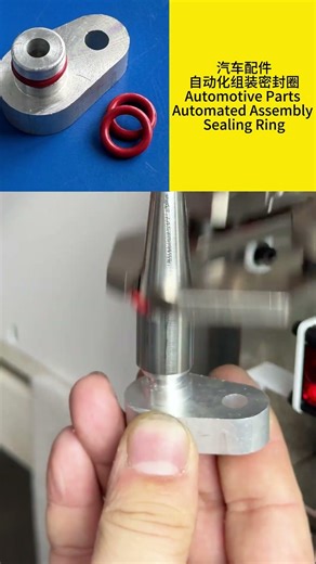 O RING ASSEMBLY SOLUTIONS 1