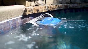 3 comments | For a Limited Time, Get Rebates Up to $125 on a Dolphin Robotic Pool Cleaner When You Shop at Your Local Dealer. | Maytronics | Facebook