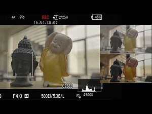 Sony FX3, FX6 Cine EI Basic to Advance Complete Guide Class 3