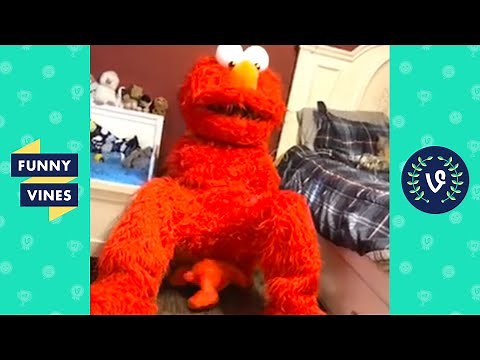 "WHEN ELMO GIVES BIRTH 😂 " | TRY NOT TO LAUGH - FUNNY VIDEOS