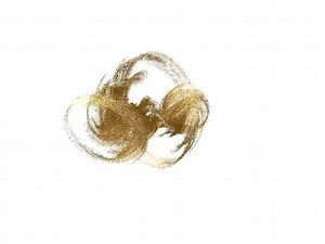 File:Julia set 3d slice animation.ogv - Wikimedia Commons