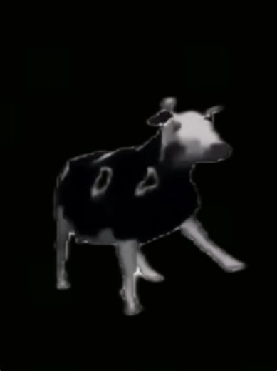 Polish Cow Edit Featuring Ibra