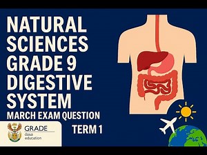 Natural Sciences Grade 9 Digestive System Term 1