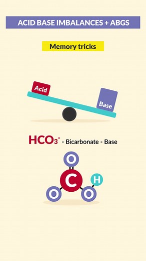 Understanding Acid-Base Imbalances in the Body